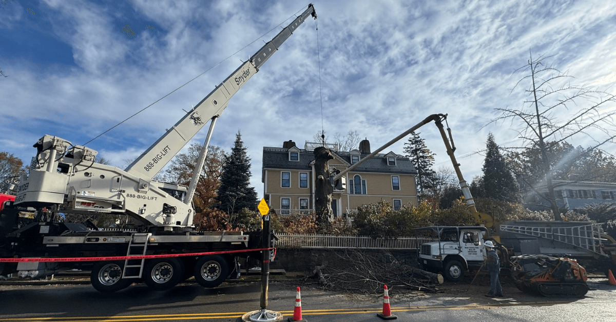 Crane Work