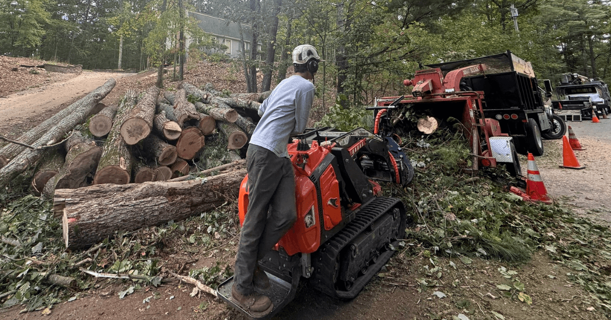 Land Clearing