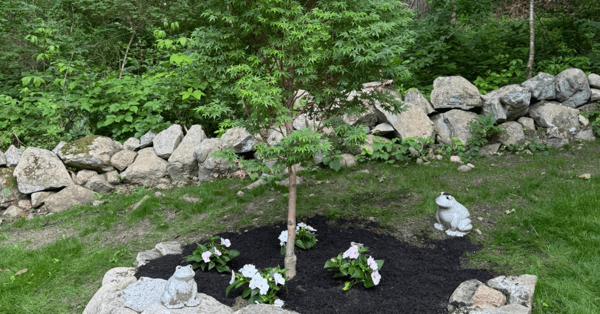 Tree Planting