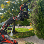 brush mowing