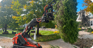 brush mowing