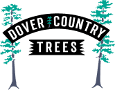 dover country trees - logo