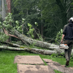 Emergency Tree Service