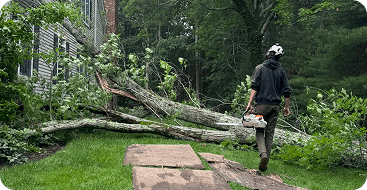 Emergency Tree Service