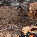 Land Clearing