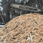 A tree suffering from volcano mulching with mulch piled high against the bark