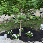 tree planting