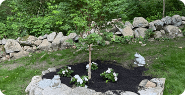 tree planting
