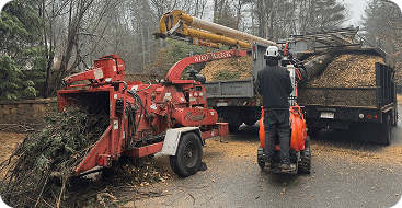 Wood Chipping Services