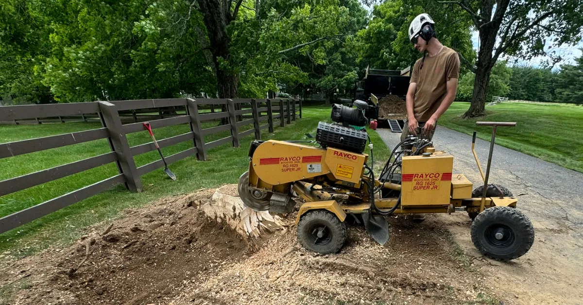 Stump Grinding