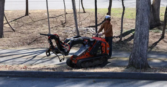 Summer Drought Tips: Keeping Your MA Trees Hydrated During Dry Spells