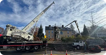Crane-Assisted Tree Work