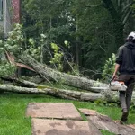 Emergency Tree Service