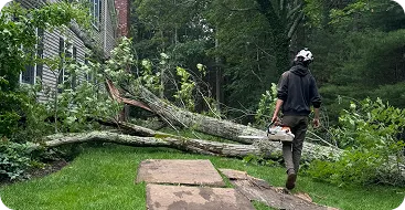 Emergency Tree Service