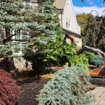 ornamental tree trimming