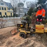 stump grinding