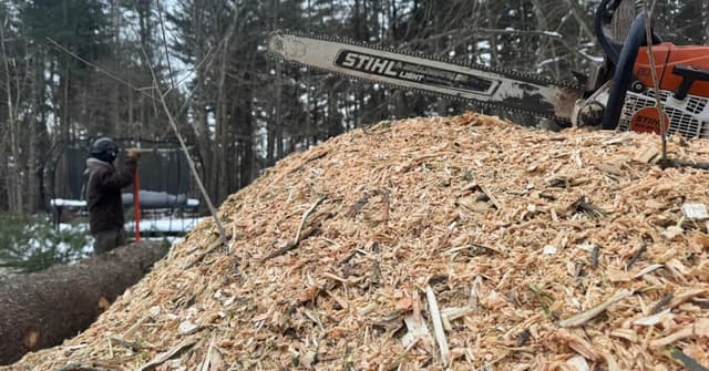 A tree suffering from volcano mulching with mulch piled high against the bark