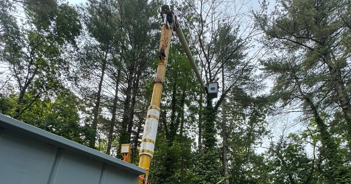 Tree Pruning