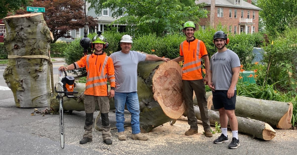 Tree Removal