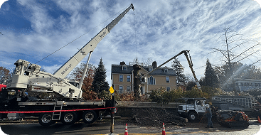 Crane-Assisted Tree Work