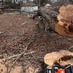 Land Clearing